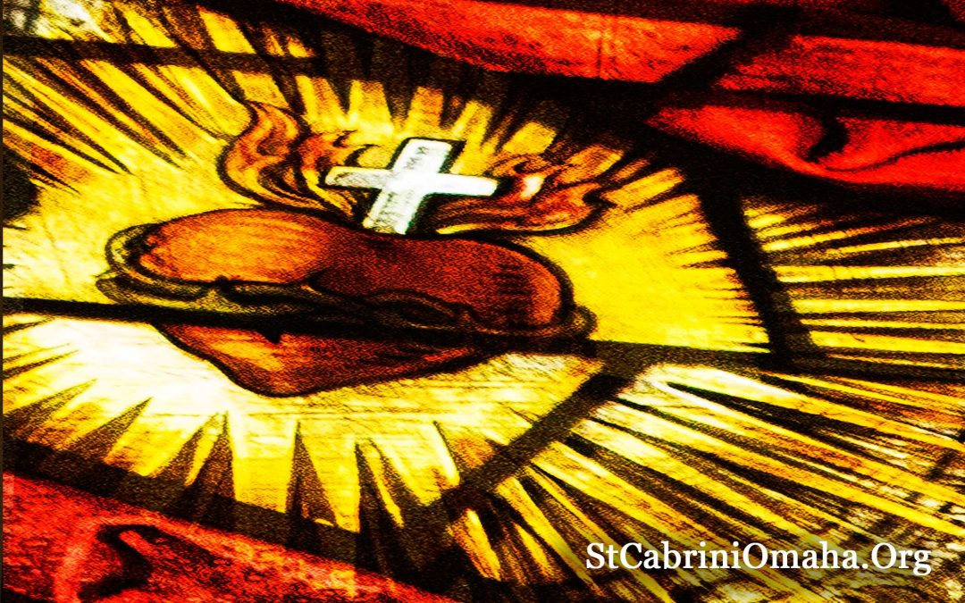 Homily: “He sends you”