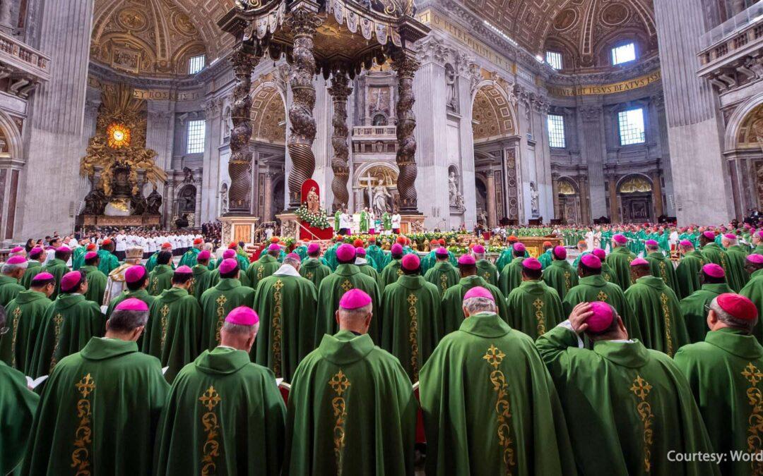 Synod of synodality