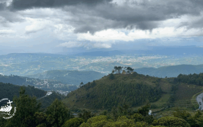 Pastor’s Letter 6.29.25