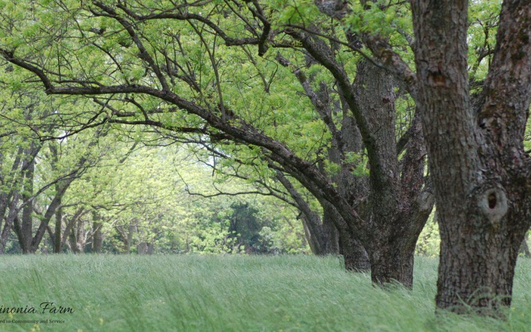 Pastor’s Letter 7.13.25