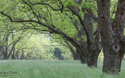 Pastor’s Letter 7.13.25