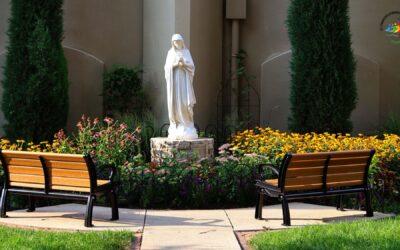 Pastor’s Letter 8.10.25