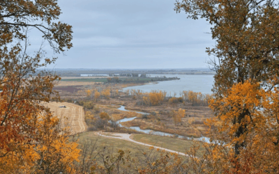 Pastor’s Letter 11.2.25