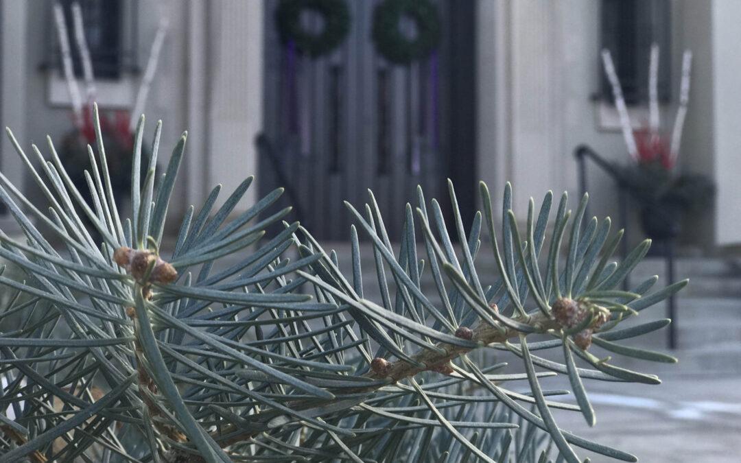 Pastor’s Letter 11.30.25